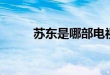 蘇東是哪部電視?。阌锌催^嗎）