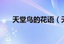 天堂鳥的花語（天堂鳥的花語是什么）
