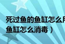 死過(guò)魚的魚缸怎么用二氧化氯消毒（死過(guò)魚的魚缸怎么消毒）