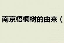 南京梧桐樹的由來（南京梧桐樹是怎么來的）