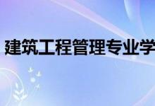建筑工程管理專業(yè)學什么（主要課程有哪些）