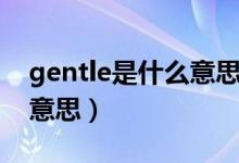 gentle是什么意思中文名詞（gentle是什么意思）