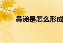 鼻涕是怎么形成的（鼻涕怎么來的）