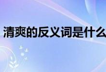 清爽的反義詞是什么（清爽的反義詞有哪些）
