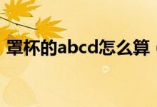 罩杯的abcd怎么算（罩杯的abcd計算方法）