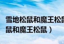 雪地松鼠和魔王松鼠的區(qū)別（如何區(qū)別雪地松鼠和魔王松鼠）