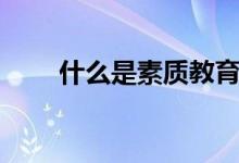 什么是素質(zhì)教育（素質(zhì)教育有哪些）