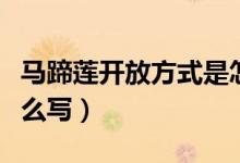 馬蹄蓮開放方式是怎樣的（馬蹄蓮開放方式怎么寫）