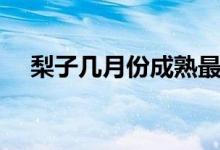 梨子幾月份成熟最好（梨子幾月份成熟）