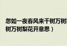 忽如一夜春風(fēng)來(lái)千樹萬(wàn)樹梨花開的翻譯（忽如一夜春風(fēng)來(lái)千樹萬(wàn)樹梨花開意思）