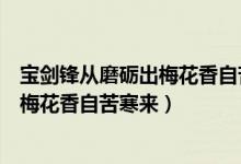寶劍鋒從磨礪出梅花香自苦寒來(lái)作文題目（寶劍鋒從磨礪出梅花香自苦寒來(lái)）
