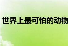 世界上最可怕的動物（世界上最可怕的動物）