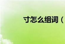 寸怎么組詞（漢字寸怎么組詞）