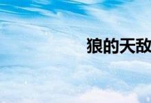 狼的天敵（狼的翻譯）
