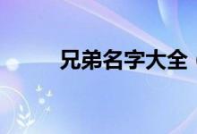 兄弟名字大全（兄弟網名有哪些）
