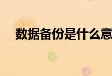 數(shù)據(jù)備份是什么意思（數(shù)據(jù)備份的解釋）
