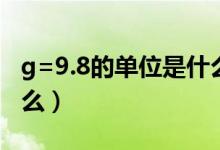g=9.8的單位是什么氣體（g=9.8的單位是什么）