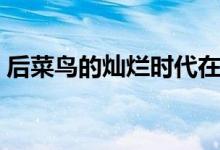 后菜鳥的燦爛時代在哪里可以看（有誰主演）