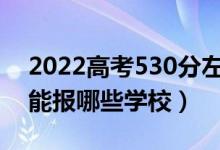 2022高考530分左右能上什么大學(xué)（文理科能報(bào)哪些學(xué)校）