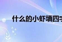 什么的小蝦填四字詞語（什么的小蝦）