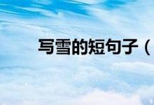 寫雪的短句子（關(guān)于雪的唯美句子）