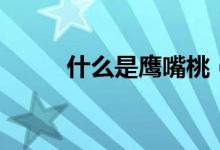 什么是鷹嘴桃（鷹嘴桃產(chǎn)自哪里）