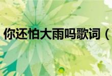 你還怕大雨嗎歌詞（你還怕大雨嗎歌曲簡(jiǎn)介）