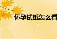 懷孕試紙怎么看（懷孕試紙如何看）