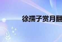 徐孺子賞月翻譯（徐孺子賞月）