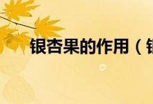銀杏果的作用（銀杏果的功效有什么）