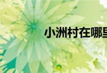 小洲村在哪里（你有去過嗎）