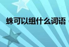 蛛可以組什么詞語（蛛的組詞分別有哪些）