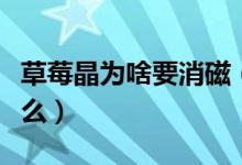 草莓晶為啥要消磁（草莓晶不消磁的危害是什么）