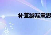 補苴罅漏意思（補苴罅漏含義）
