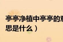 亭亭凈植中亭亭的意思（亭亭凈植中亭亭的意思是什么）