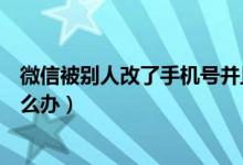 微信被別人改了手機(jī)號(hào)并且凍結(jié)（微信被別人改了手機(jī)號(hào)怎么辦）