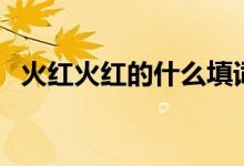 火紅火紅的什么填詞語（火紅火紅的什么）