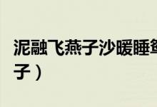 泥融飛燕子沙暖睡鴛鴦詩意是什么（泥融飛燕子）