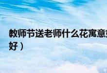 教師節(jié)送老師什么花寓意好（教師節(jié)送老師什么花寓意比較好）