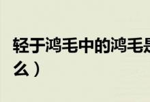 輕于鴻毛中的鴻毛是哪種動(dòng)物的毛（鴻毛是什么）