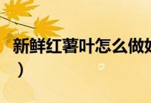 新鮮紅薯葉怎么做好吃又簡單（試試這種做法）