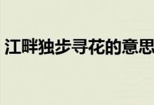 江畔獨步尋花的意思（江畔獨步尋花的意思）