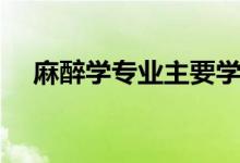 麻醉學(xué)專業(yè)主要學(xué)什么（就業(yè)前景如何）
