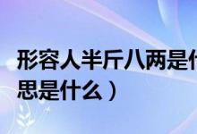 形容人半斤八兩是什么意思（人半斤八兩的意思是什么）