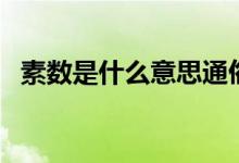 素數(shù)是什么意思通俗些（素數(shù)是什么意思）