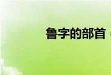 魯字的部首（魯字怎么組詞）