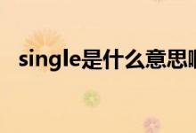 single是什么意思?。╯ingle的中文翻譯）
