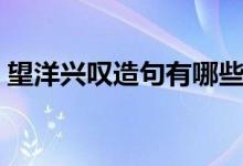 望洋興嘆造句有哪些（怎么用望洋興嘆造句）