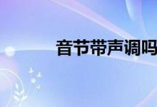 音節(jié)帶聲調(diào)嗎（音節(jié)帶聲調(diào)嗎）