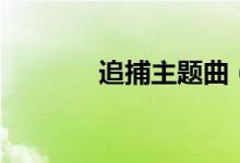 追捕主題曲（有詳細(xì)介紹嗎）